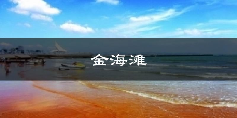 金海滩今日天气