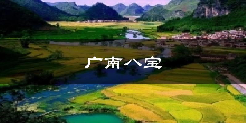 广南八宝天气未来15天