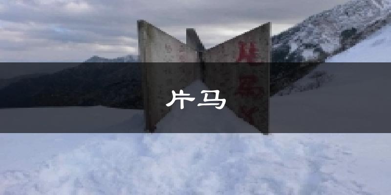 片马天气未来15天
