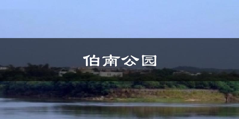 伯南公园天气未来15天