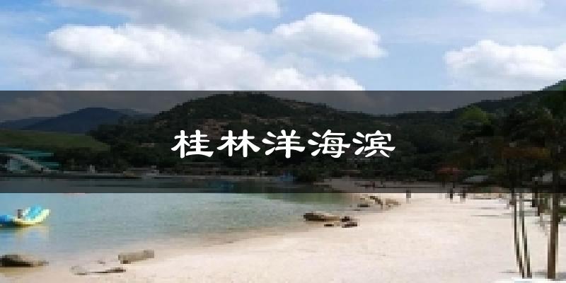 桂林洋海滨今日天气