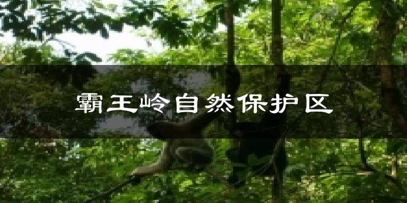 霸王岭自然保护区气温