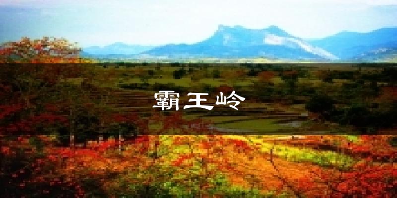 霸王岭气温