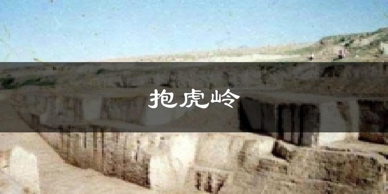 抱虎岭天气未来15天