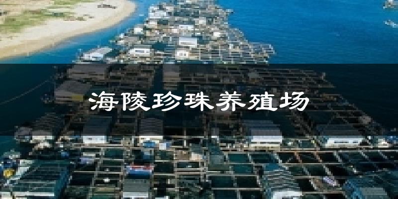 海陵珍珠养殖场天气未来15天
