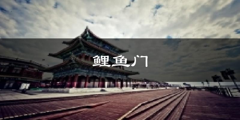 鲤鱼门今日天气
