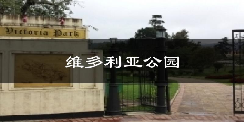 维多利亚公园今日天气