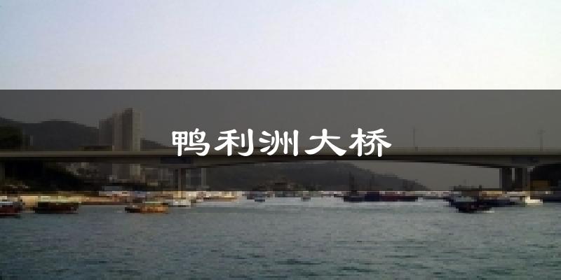 鸭利洲大桥今日天气