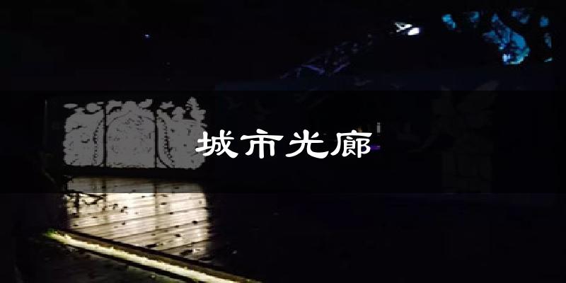 城市光廊气温