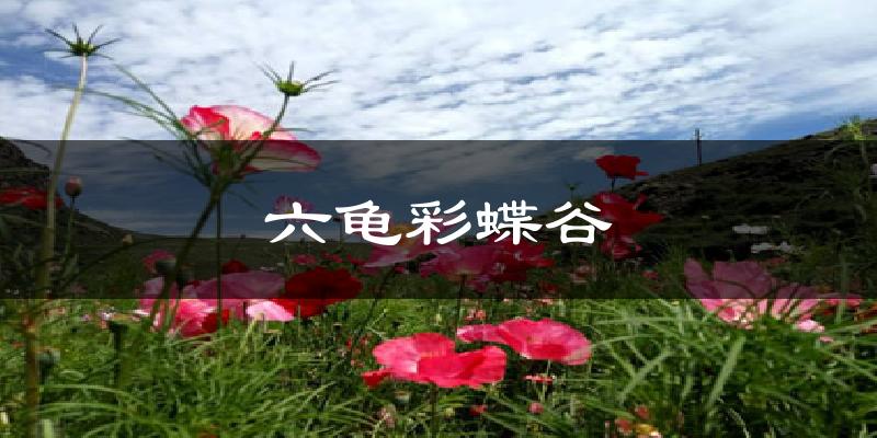 六龟彩蝶谷气温