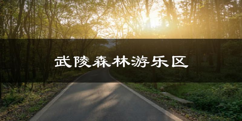 武陵森林游乐区气温