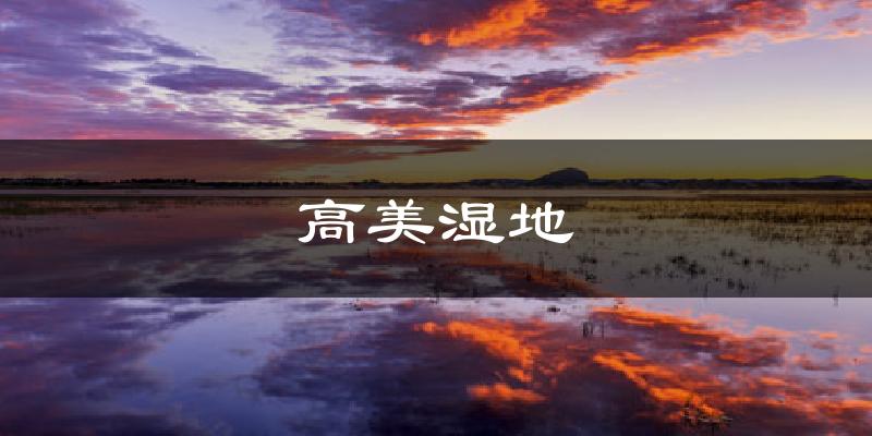 高美湿地天气未来15天
