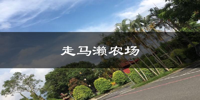 走马濑农场气温