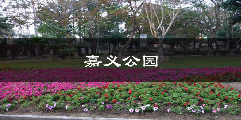 嘉义公园天气未来15天