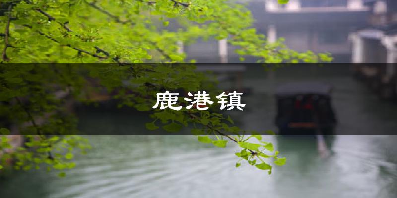 鹿港镇天气未来15天
