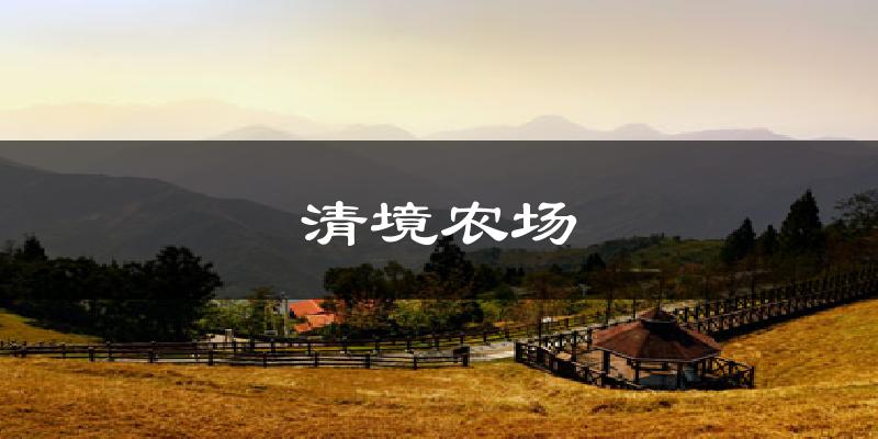 清境农场气温