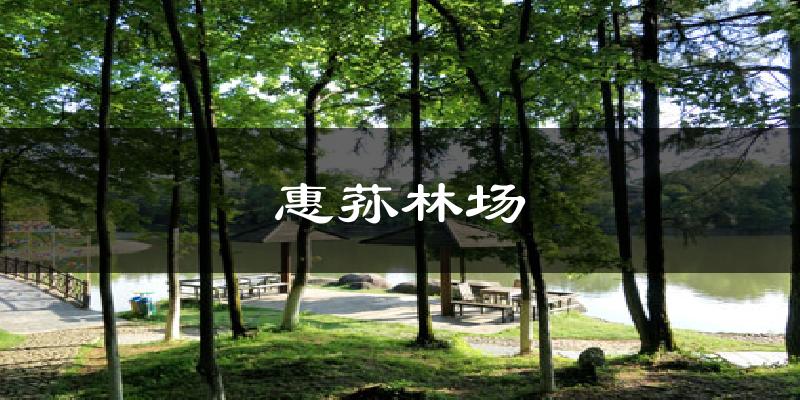 惠荪林场天气未来15天