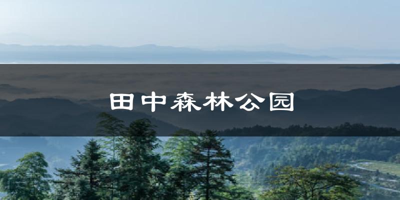 田中森林公园今日天气