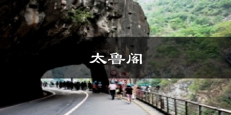 太鲁阁气温