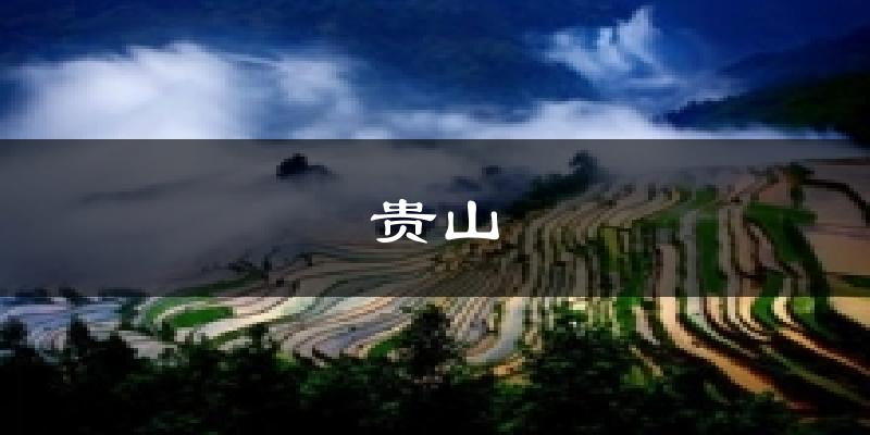 贵山天气未来15天